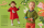 Deutsche Zeitschrift Ottobre Design 01/2017 Kids Frühling
