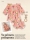 Patrones 481 Looks de Invitada elegante Kleider und stilvolle Damenmode